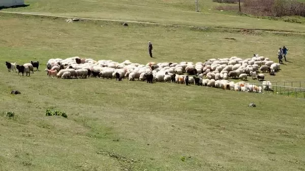 TRABZON'DA 8 YAPAY UZUNGÖL'ÜN İLKİ TAMAMLANDI TRABZON'DA 8 YAPAY UZUNGÖL'ÜN İLKİ TAMAMLANDI