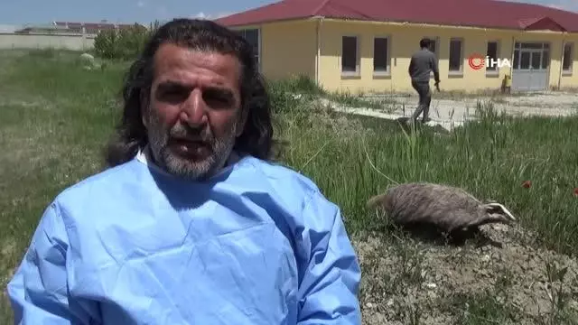 Uçkun toplamaya giden vatandaşlar porsuk görüntüledi Uçkun toplamaya giden vatandaşlar porsuk görüntüledi