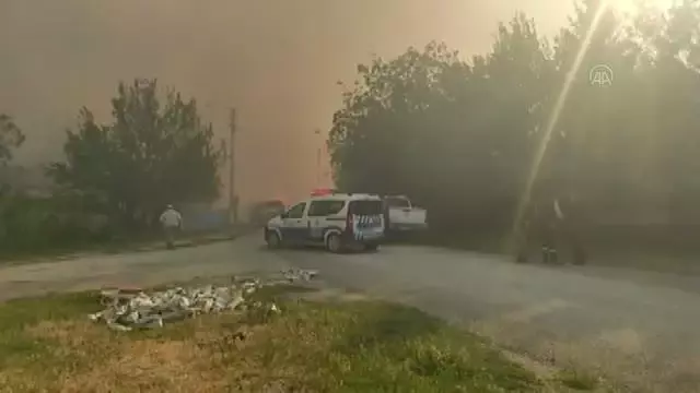Son dakika! AFYONKARAHİSAR - Biyokütle enerji santralinde yangın çıktı Son dakika! AFYONKARAHİSAR - Biyokütle enerji santralinde yangın çıktı