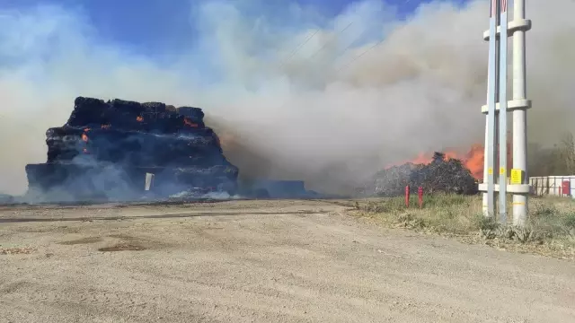 Son dakika! AFYONKARAHİSAR - Biyokütle enerji santralinde yangın çıktı Son dakika! AFYONKARAHİSAR - Biyokütle enerji santralinde yangın çıktı