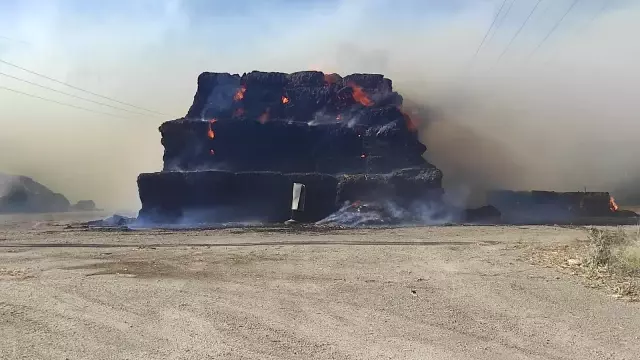 Son dakika! AFYONKARAHİSAR - Biyokütle enerji santralinde yangın çıktı Son dakika! AFYONKARAHİSAR - Biyokütle enerji santralinde yangın çıktı