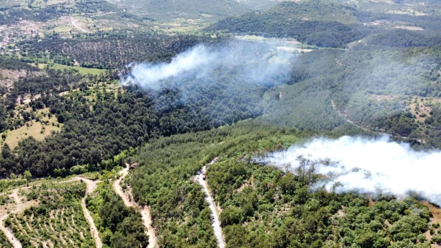 Balya'daki yangın havadan görüntülendi