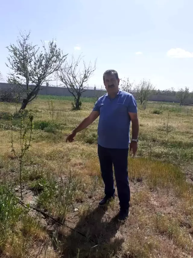 Çelik: 'Yeni destek müjdeleri bir kez daha çiftçinin, üreticinin, yetiştiricinin yüzünü güldürdü' Çelik: 'Yeni destek müjdeleri bir kez daha çiftçinin, üreticinin, yetiştiricinin yüzünü güldürdü'