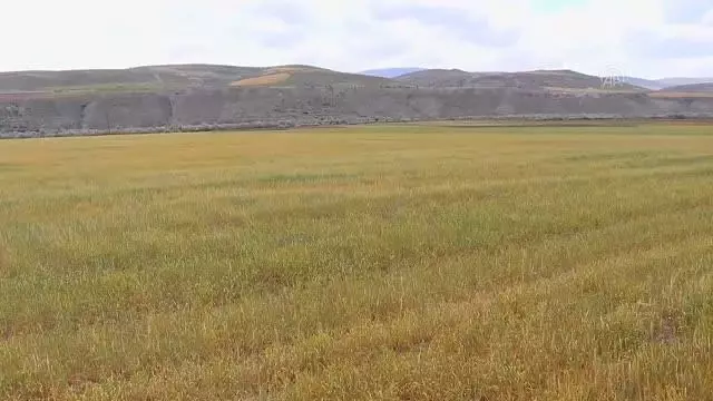 Çiftçiler kuraklık nedeniyle endişe yaşıyor