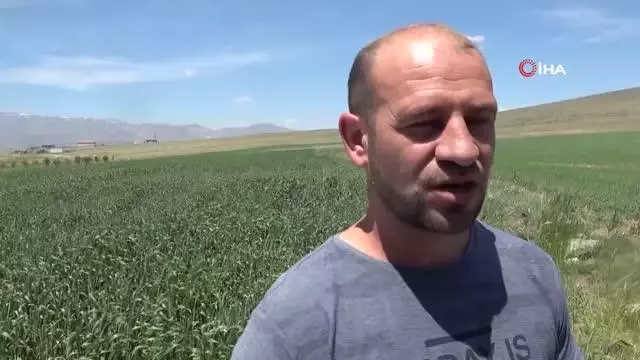 Cumhurbaşkanı Erdoğan'ın açıklaması çiftçileri sevindirdi Cumhurbaşkanı Erdoğan'ın açıklaması çiftçileri sevindirdi