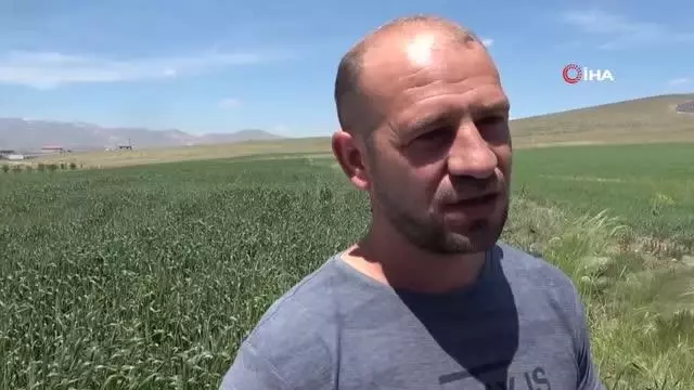 Cumhurbaşkanı Erdoğan'ın açıklaması çiftçileri sevindirdi Cumhurbaşkanı Erdoğan'ın açıklaması çiftçileri sevindirdi