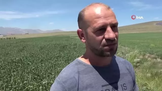 Cumhurbaşkanı Erdoğan'ın açıklaması çiftçileri sevindirdi Cumhurbaşkanı Erdoğan'ın açıklaması çiftçileri sevindirdi