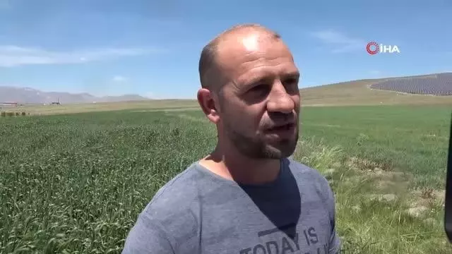 Cumhurbaşkanı Erdoğan'ın açıklaması çiftçileri sevindirdi Cumhurbaşkanı Erdoğan'ın açıklaması çiftçileri sevindirdi