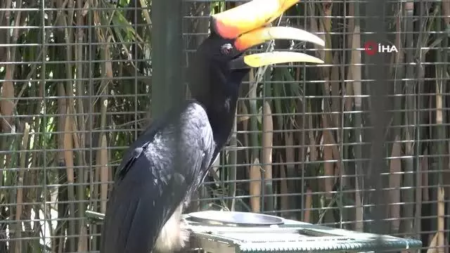 insanoglunun aksesuar sevdasi bu turun sonunu 2 14138953 o