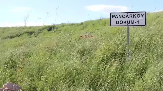 KIRKLARELİ - Halkalı-Kapıkule demir yolu hattında kullanılan merada yetiştirilen hayvan yemi besiciye dağıtılacak