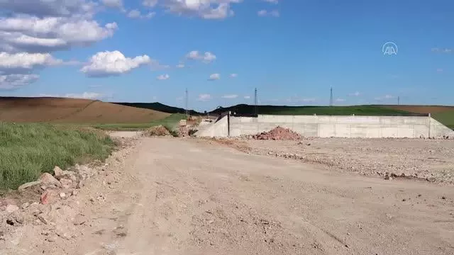 KIRKLARELİ - Halkalı-Kapıkule demir yolu hattında kullanılan merada yetiştirilen hayvan yemi besiciye dağıtılacak