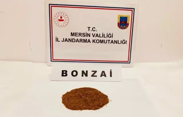 Son dakika haber! Mersin'de uyuşturucu operasyonları: 8 gözaltı