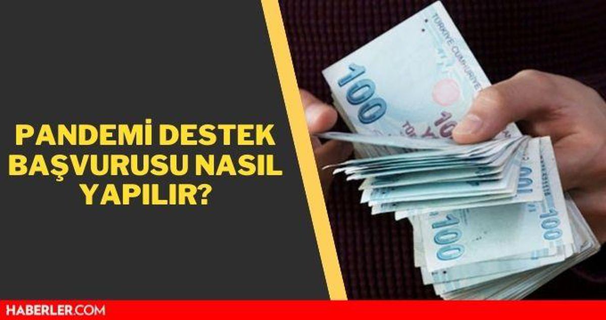 Pandemi destek başvurusu nasıl yapılır? Pandemi sosyal destek başvuru sorgulama detayları