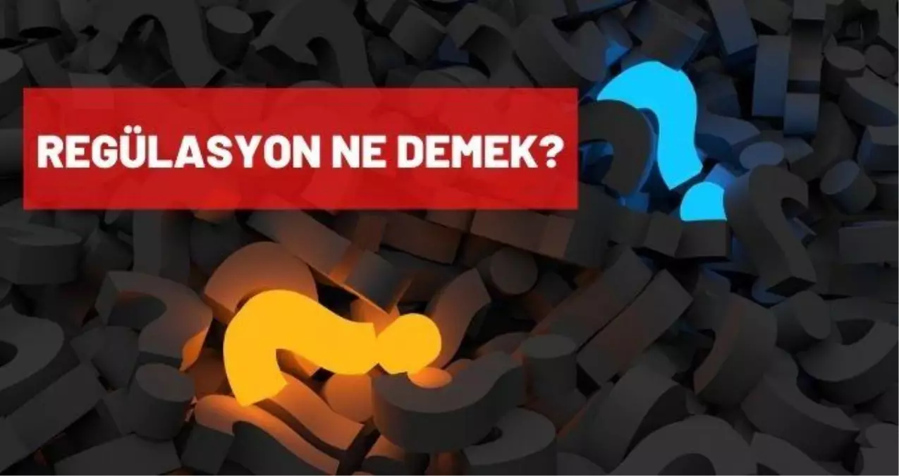 Regülasyon ne demek? Regülasyon nedir? Regüle etmek ne demek?