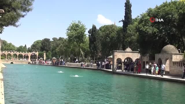 sanliurfa da covid 19 asilarini yaptiran yasl 3 14139775 o