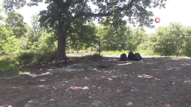 sapanca golu kiyisindaki ormana dokulen atikl 4 14139788 o