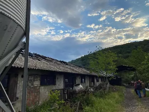 Tavuk çiftliğinde yangın; 10 bin 500 civciv diri diri kül oldu Tavuk çiftliğinde yangın; 10 bin 500 civciv diri diri kül oldu