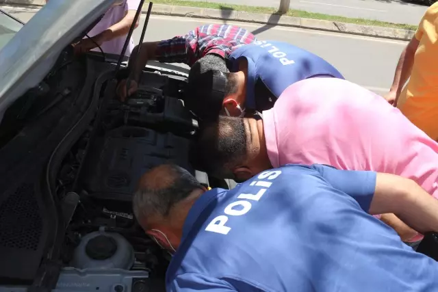 Adana'da otomobilin motor kısmına sıkışan kedi yavruları kurtarıldı Adana'da otomobilin motor kısmına sıkışan kedi yavruları kurtarıldı