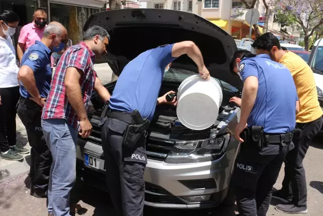 Adana'da otomobilin motor kısmına sıkışan kedi yavruları kurtarıldı Adana'da otomobilin motor kısmına sıkışan kedi yavruları kurtarıldı