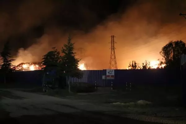 Son dakika haberleri... Afyonkarahisar'daki biyokütle enerji tesisinde 15 günde ikinci yangın Son dakika haberleri... Afyonkarahisar'daki biyokütle enerji tesisinde 15 günde ikinci yangın