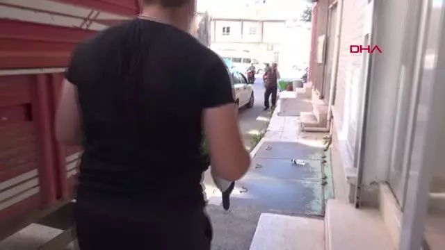 AFYONKARAHİSAR SANDIKLI ZİRAAT ODASI ÜCRETSİZ FİDE DAĞITTI AFYONKARAHİSAR SANDIKLI ZİRAAT ODASI ÜCRETSİZ FİDE DAĞITTI