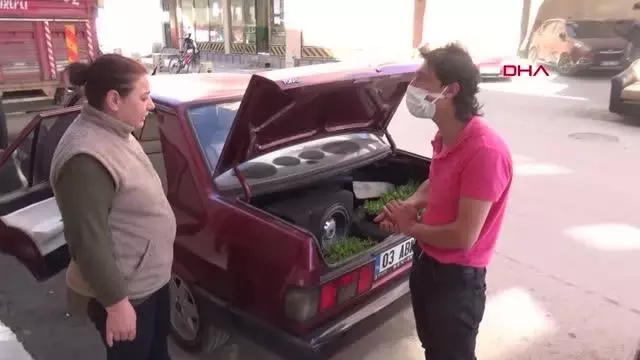 AFYONKARAHİSAR SANDIKLI ZİRAAT ODASI ÜCRETSİZ FİDE DAĞITTI AFYONKARAHİSAR SANDIKLI ZİRAAT ODASI ÜCRETSİZ FİDE DAĞITTI