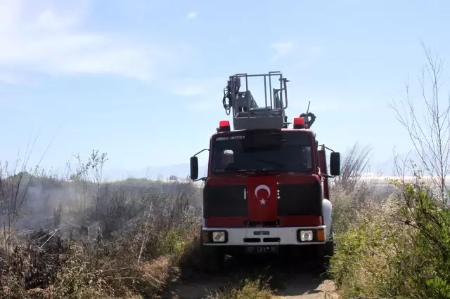 Son dakika haberi... Antalya'da yangın sazlık alanı küle çevirdi Son dakika haberi... Antalya'da yangın sazlık alanı küle çevirdi