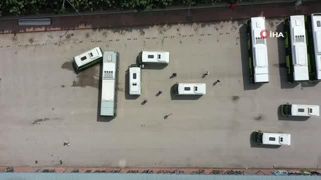 belediye halk otobusleri 19 mayis i koreograf 14143176 o