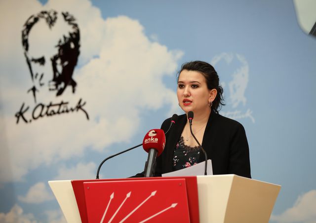 chp genel baskan yardimcisi gokcen genclerin 2 14141882 o