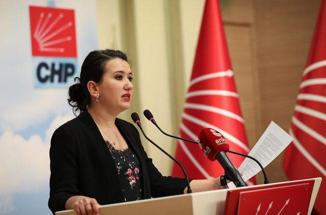 chp genel baskan yardimcisi gokcen genclerin 3 14141882 o