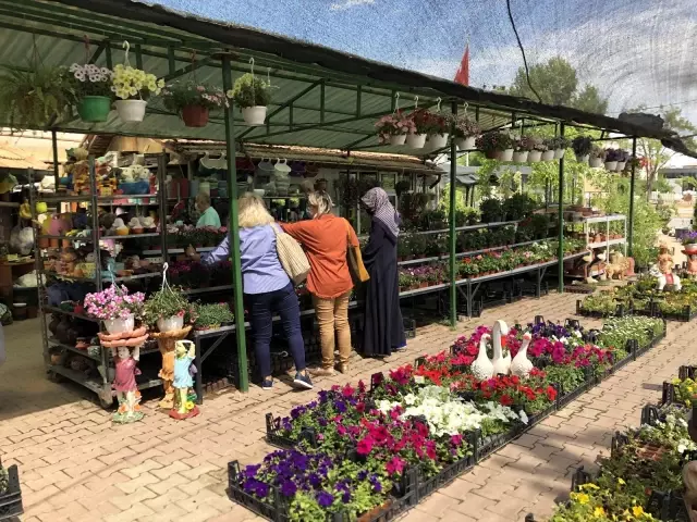 Pandemide doğaya ve bitki yetiştirmeye ilgi arttı Pandemide doğaya ve bitki yetiştirmeye ilgi arttı