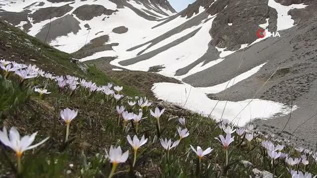 Yaz günü Munzur'da kızak keyfi