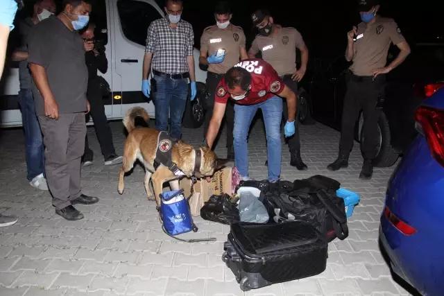 3 şüphe üzerine durdurulan araçta 6 bin 298 adet yeşil reçeteli kimyasal ilaç ele geçirildi 3 şüphe üzerine durdurulan araçta 6 bin 298 adet yeşil reçeteli kimyasal ilaç ele geçirildi
