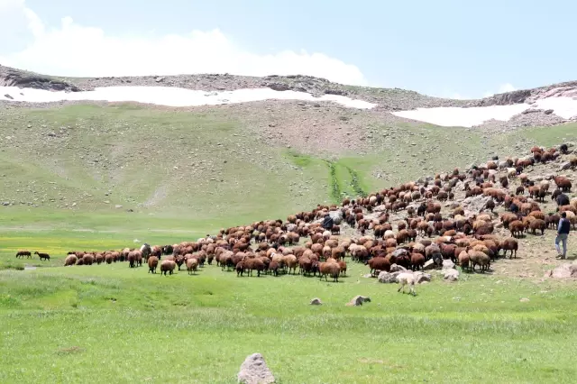 Ağrı'nın volkanik platoları üzerinde oluşan menderesler bölgeye ayrı bir güzellik katıyor Ağrı'nın volkanik platoları üzerinde oluşan menderesler bölgeye ayrı bir güzellik katıyor