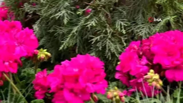 Başkent bahara hazırlanıyor Başkent bahara hazırlanıyor