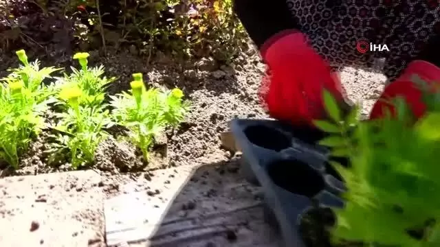 Başkent bahara hazırlanıyor Başkent bahara hazırlanıyor