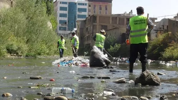 Büyükçay Deresi'nde kefaller üreme döneminde