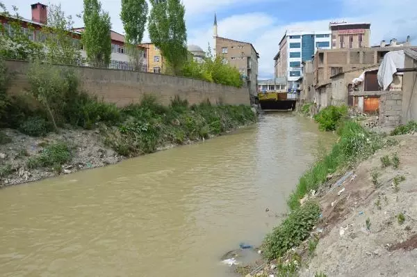 Büyükçay Deresi'nde kefaller üreme döneminde