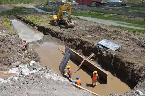 Büyükçay Deresi'nde kefaller üreme döneminde