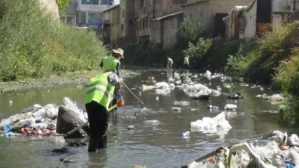 Büyükçay Deresi'nde kefaller üreme döneminde