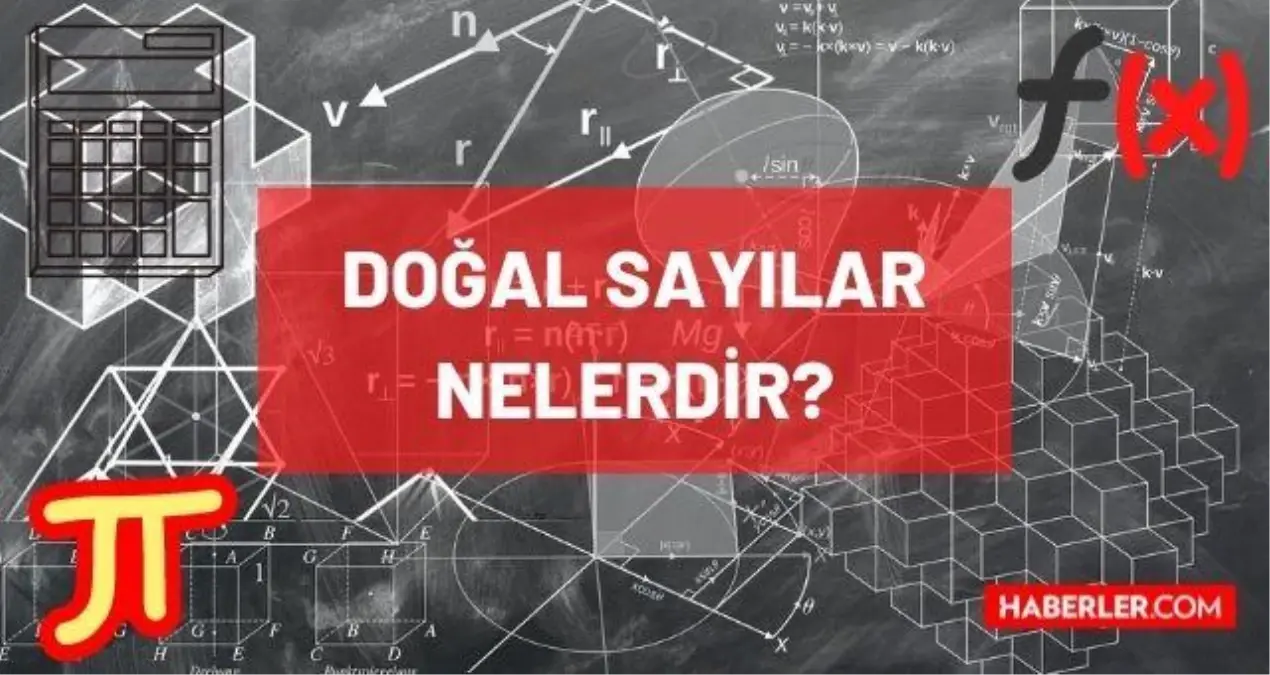 Dogal Sayilar Nelerdir Dogal Sayilar Kactan Baslar Dogal Sayilar 0 Dan Mi 1 Den Mi Basliyor