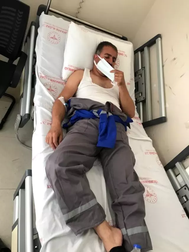 Gercüş'te bir kişiyi akrep soktu Gercüş'te bir kişiyi akrep soktu