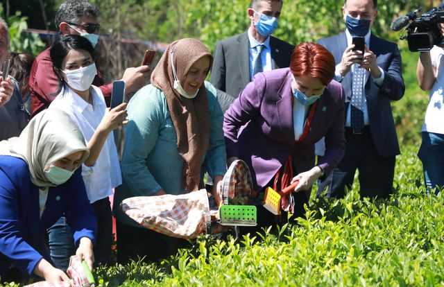 iyi parti genel baskani aksener rize de koyle 14145272 o