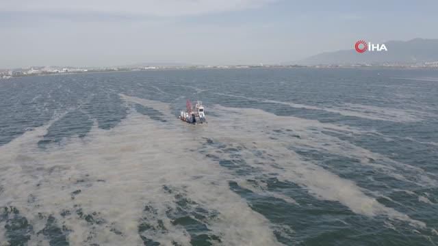 izmit korfezi nde 50 gunde 150 ton deniz saly 14144409 o