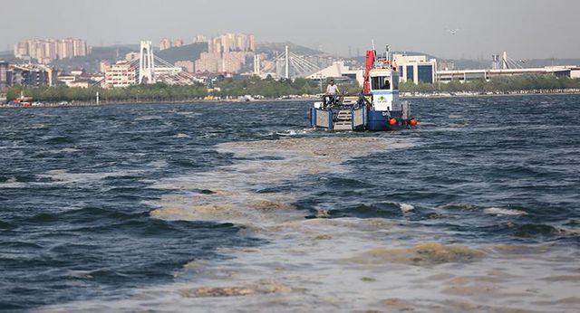 izmit korfezi nde 50 gunde 150 ton deniz saly 2 14144688 o
