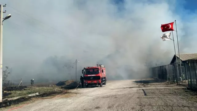 Son dakika haberleri | Kalorifer yakıtı üretilen tesiste yangın çıktı Son dakika haberleri | Kalorifer yakıtı üretilen tesiste yangın çıktı