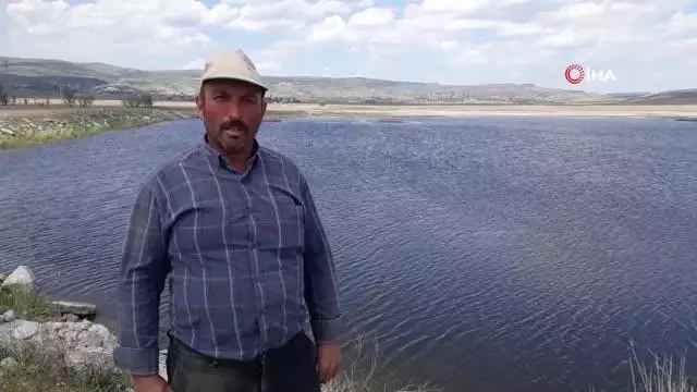 'Telli turna' çifti için köylüler seferber oldu 'Telli turna' çifti için köylüler seferber oldu