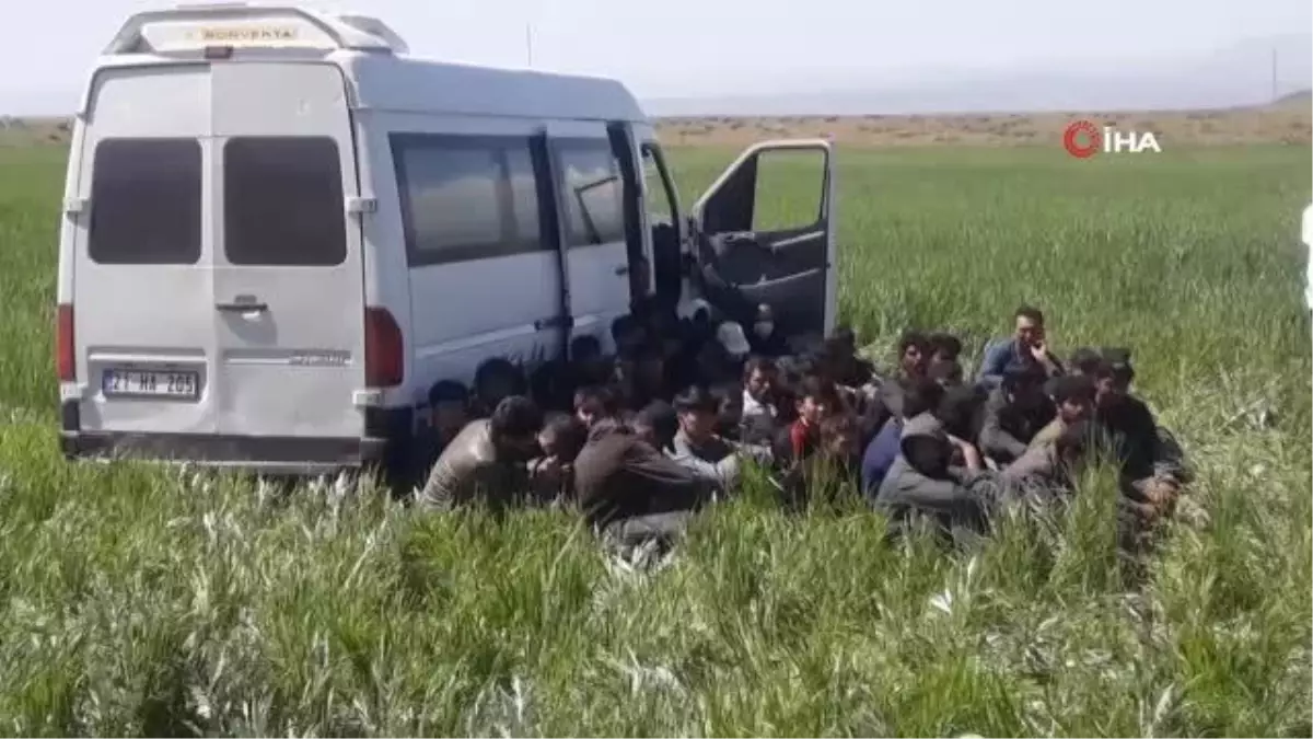 49 göçmenin içinde bulunduğu minibüs yoldan çıktı: 4 yaralı