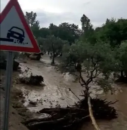 Bursa'daki sel felaketinden 200 mevsimlik işçi canını son anda kurtardı