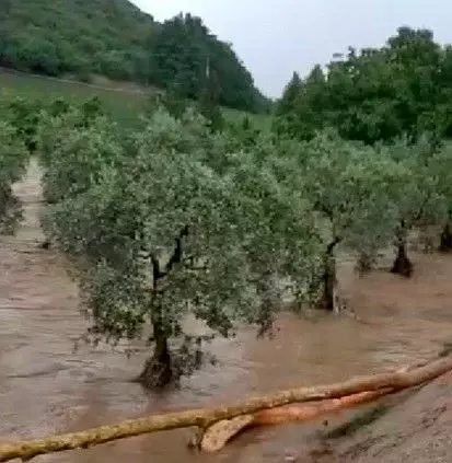 Bursa'daki sel felaketinden 200 mevsimlik işçi canını son anda kurtardı